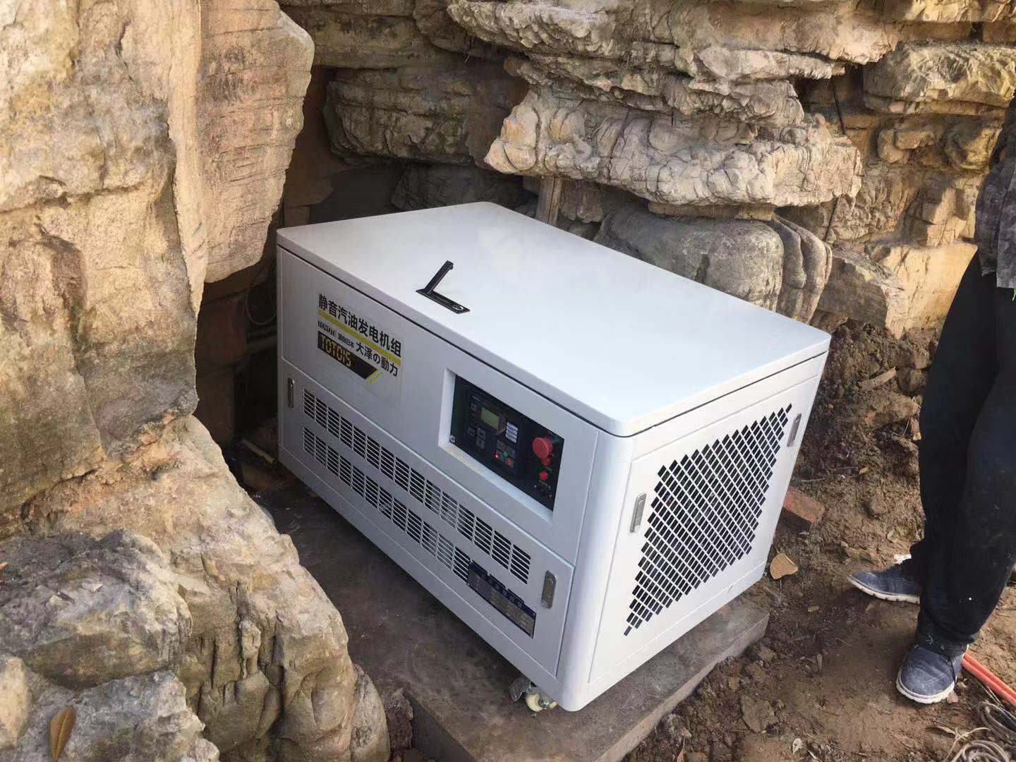 别墅假山处安装大泽静音汽油发电机